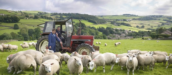 Exploitants agricoles : fin de l'option fiscale pour la moyenne triennale