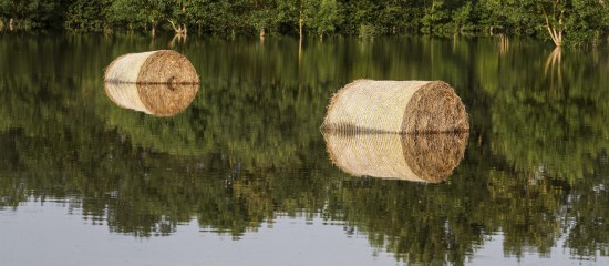 Exploitants agricoles : déclarez votre interlocuteur agréé pour les pertes de récolte !