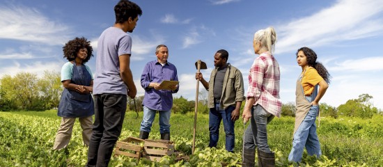 Le recrutement de travailleurs étrangers facilité dans l'agriculture