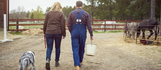 Départ de l'un des cotitulaires d'un bail rural sans en informer le bailleur