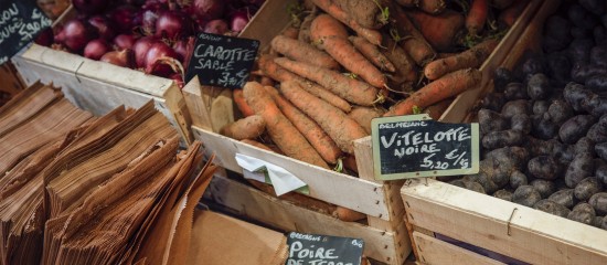 Agriculture biologique : prolongation du délai pour demander l'aide