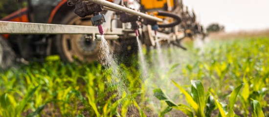 Agriculteurs : prolongation d'un an des certiphytos arrivant à échéance