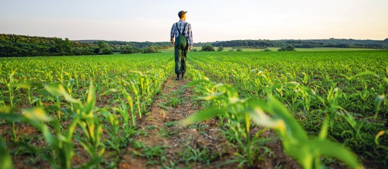 Quand une mise en demeure de payer le fermage n'est pas retirée