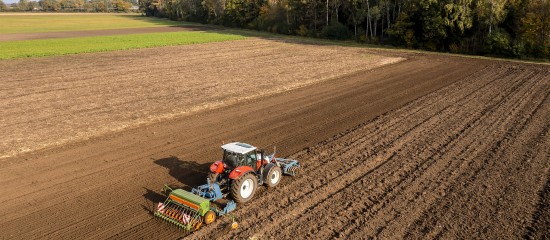 Les prix des terres agricoles ont légèrement augmenté en 2023