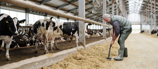 Option des exploitants agricoles pour une assiette annuelle des cotisations sociales