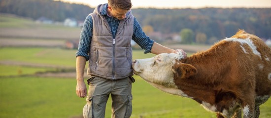 Agriculture : augmentation de plusieurs aides de la Pac au titre de 2023