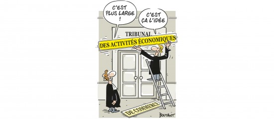 Tribunaux des activités économiques