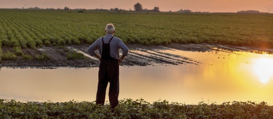 Des dégrèvements de taxe foncière pour les agriculteurs victimes d'une perte de récoltes