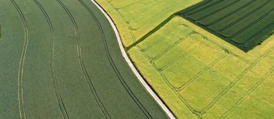 Échange de parcelles agricoles : les droits du locataire