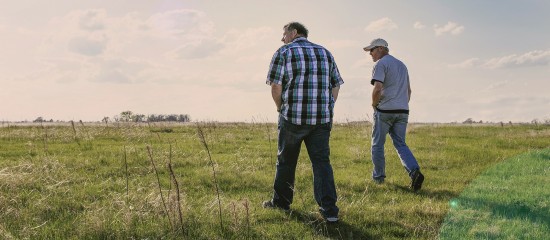 Conflit de baux ruraux dans le temps : quel locataire l'emporte ?